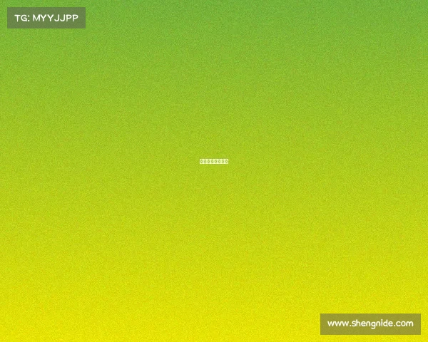 搏击赛事起名大全